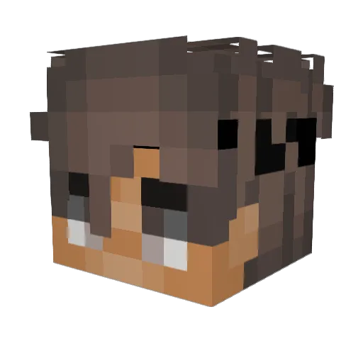 NuPToN_ Minecraft avatar head, 3D render