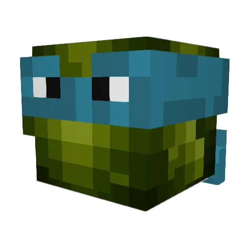 Nuaf Minecraft avatar head, 3D render