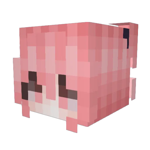 Nuania Minecraft avatar head, 3D render
