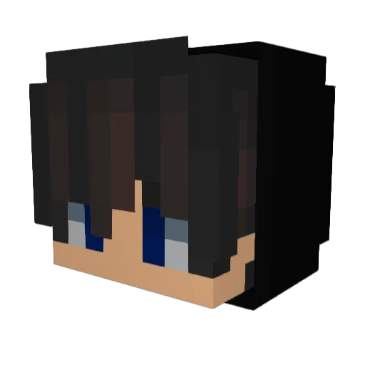 Nub398 Minecraft avatar head, 3D render