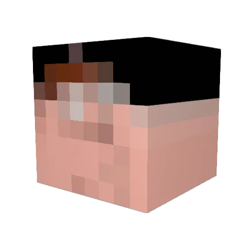 NubRubber Minecraft avatar head, 3D render