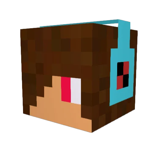 Nub_Thief Minecraft avatar head, 3D render