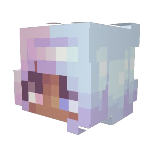 Nubb2 Minecraft avatar head, 3D render