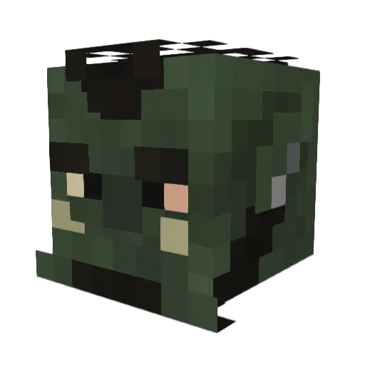 NubbyMcNub Minecraft avatar head, 3D render