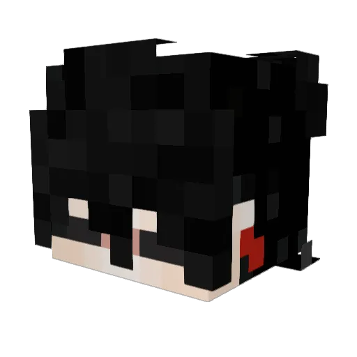 Nube_R Minecraft avatar head, 3D render