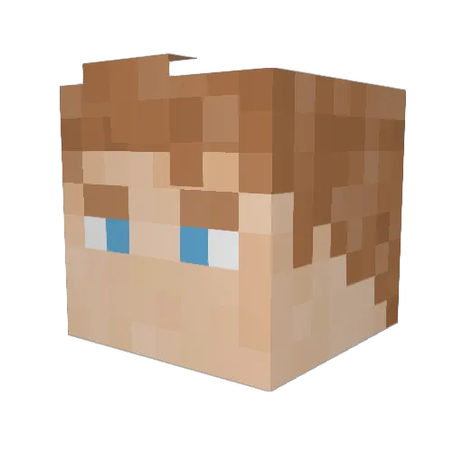 Nuberinoo Minecraft avatar head, 3D render