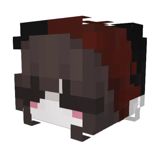 Nubesa Minecraft avatar head, 3D render