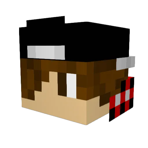 Nubizz Minecraft avatar head, 3D render