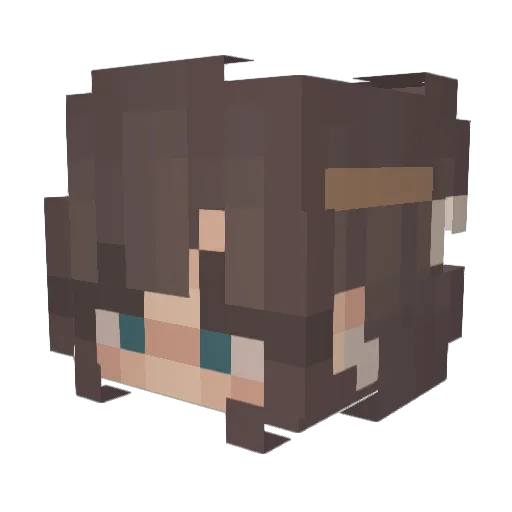 Nubnub45 Minecraft avatar head, 3D render