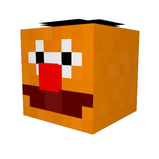 NubsParrot Minecraft avatar head, 3D render