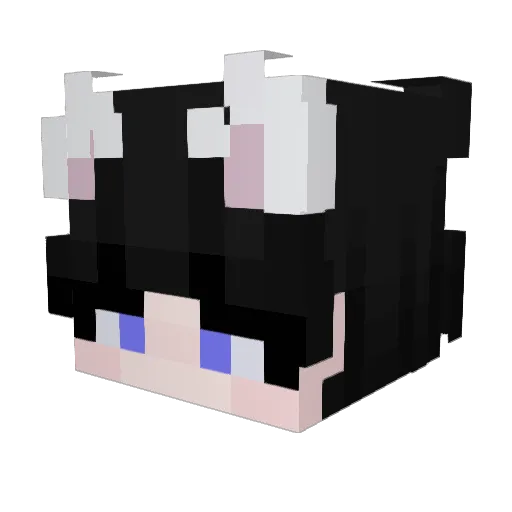 Nucios Minecraft avatar head, 3D render