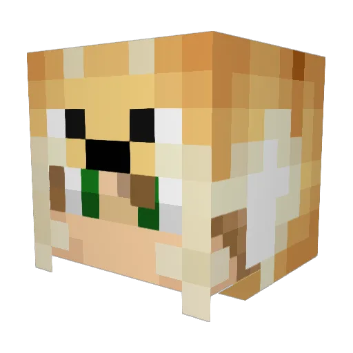 NuckelsBg1 Minecraft avatar head, 3D render