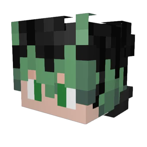 NuclearBomb21 Minecraft avatar head, 3D render