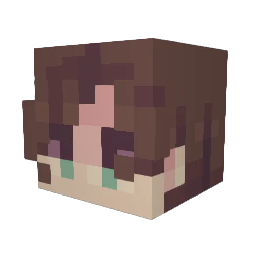 NuclearRewind17 Minecraft avatar head, 3D render