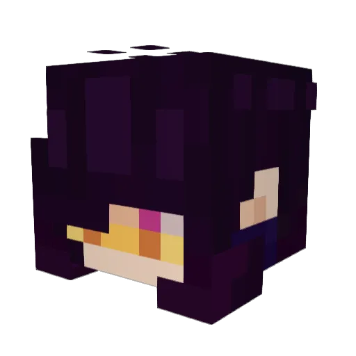Nuclear_Rogue Minecraft avatar head, 3D render