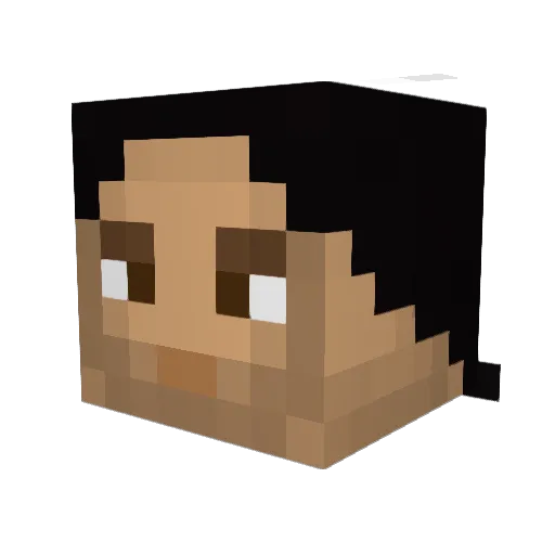 Nuclear_Turtle Minecraft avatar head, 3D render