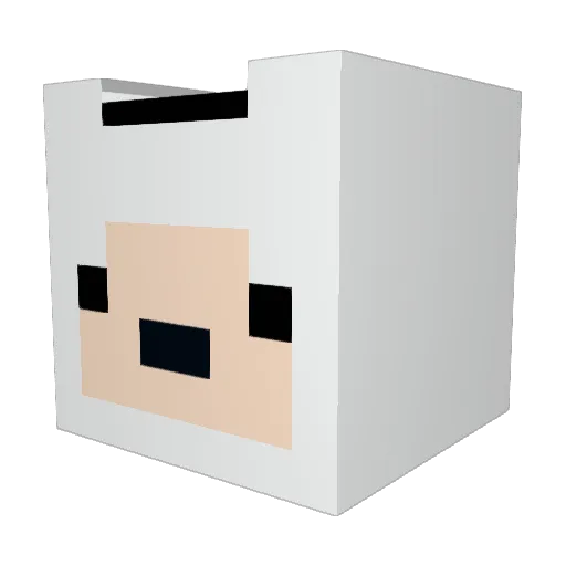 Nucleartoe Minecraft avatar head, 3D render