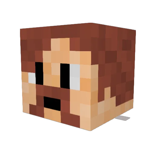 Nucleosse Minecraft avatar head, 3D render