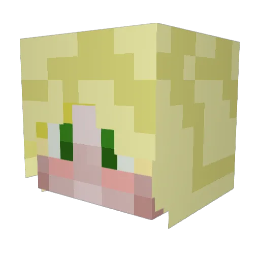 Nuctorine Minecraft avatar head, 3D render