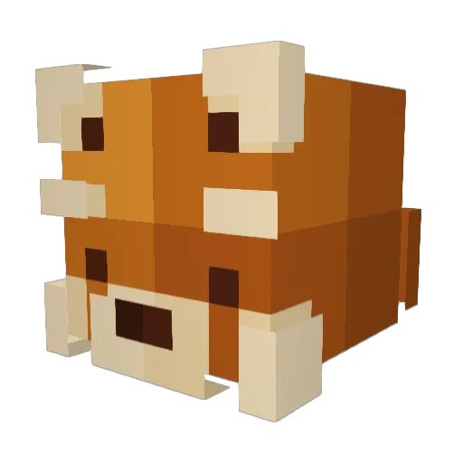 Nuddn Minecraft avatar head, 3D render