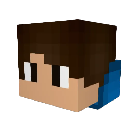 Nuebel_Toast Minecraft avatar head, 3D render