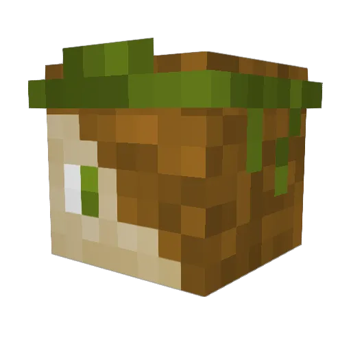 Nuevada Minecraft avatar head, 3D render