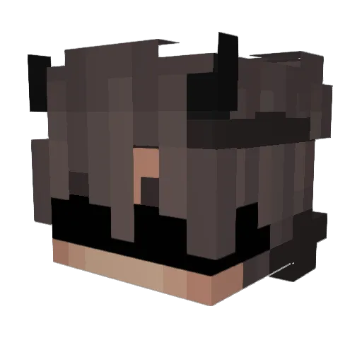 Nufluxx Minecraft avatar head, 3D render