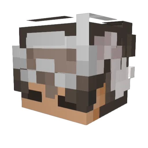Nufuls Minecraft avatar head, 3D render
