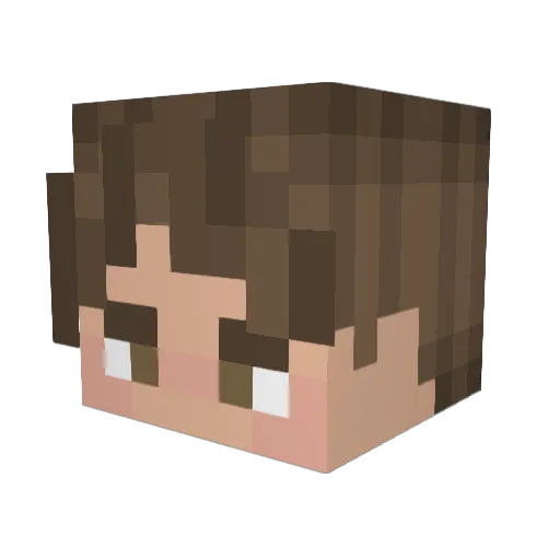 Nuget0_ Minecraft avatar head, 3D render