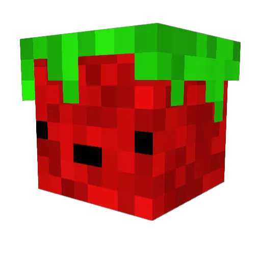 Nugget1134 Minecraft avatar head, 3D render