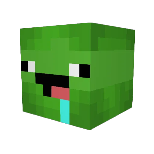 Nugget244 Minecraft avatar head, 3D render