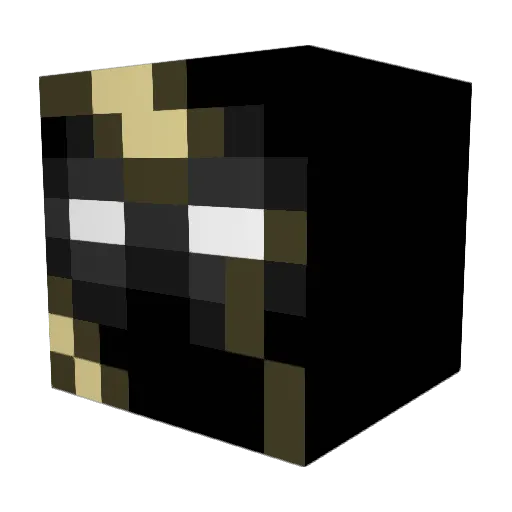 Nugget456 Minecraft avatar head, 3D render