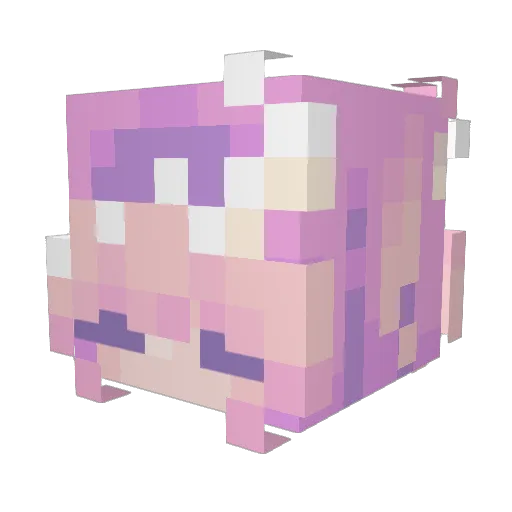 Nugget724 Minecraft avatar head, 3D render