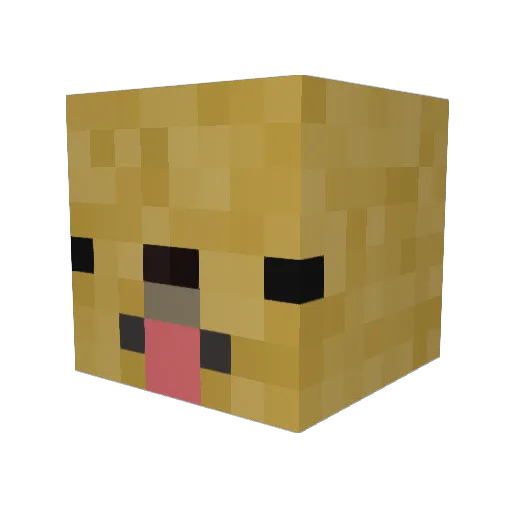 NuggetDoge Minecraft avatar head, 3D render