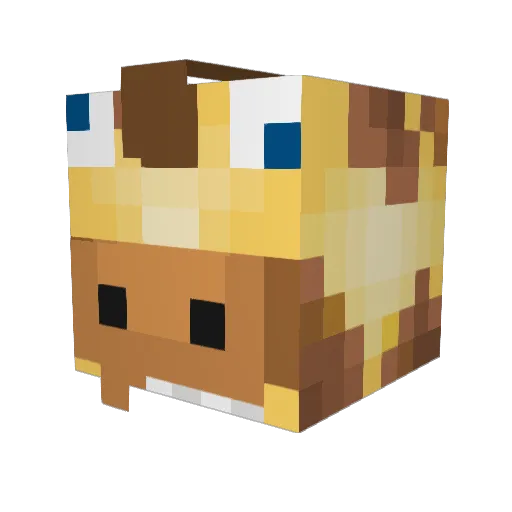 NuggetForce1 Minecraft avatar head, 3D render