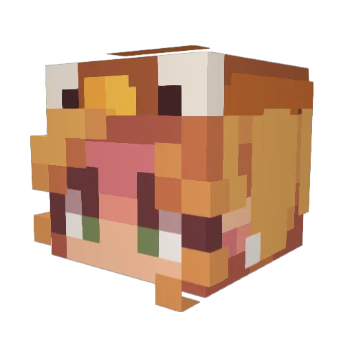 NuggetTheOwl Minecraft avatar head, 3D render