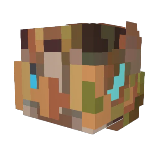 Nugget_427 Minecraft avatar head, 3D render