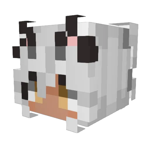 Nugget_DBD Minecraft avatar head, 3D render