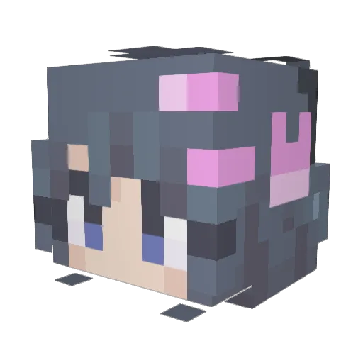 Nugget_Pug Minecraft avatar head, 3D render