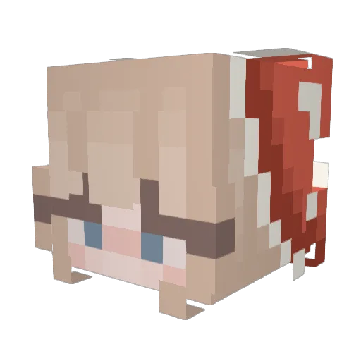 Nuggetpower6885 Minecraft avatar head, 3D render