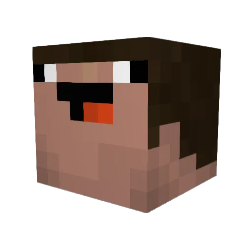 Nuggets0123 Minecraft avatar head, 3D render