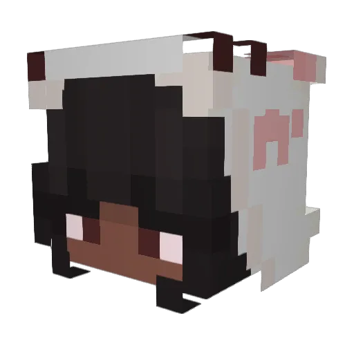 Nuggetspeace Minecraft avatar head, 3D render