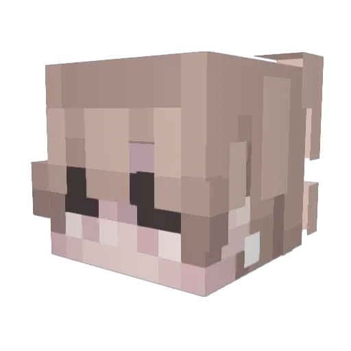 Nuggyboio Minecraft avatar head, 3D render