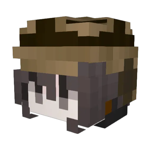 Nuggykun Minecraft avatar head, 3D render