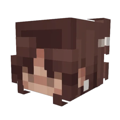 Nugleet Minecraft avatar head, 3D render