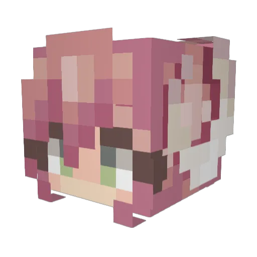 Nugster06 Minecraft avatar head, 3D render