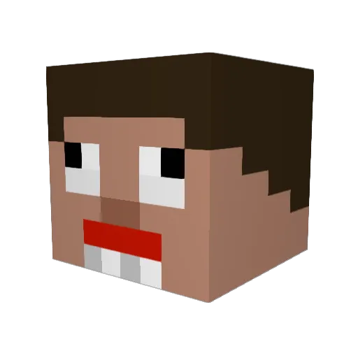 NugyBugy Minecraft avatar head, 3D render
