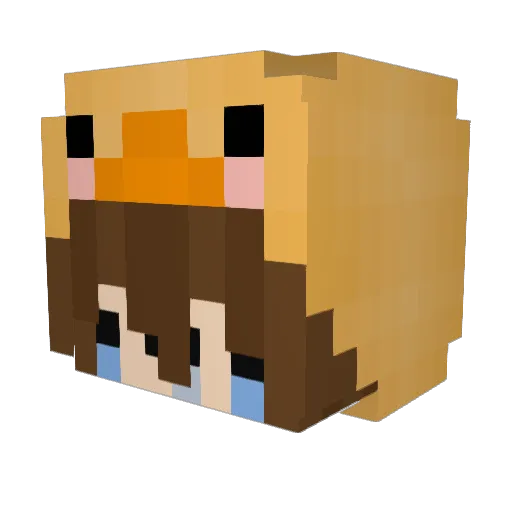 Nuhatje Minecraft avatar head, 3D render