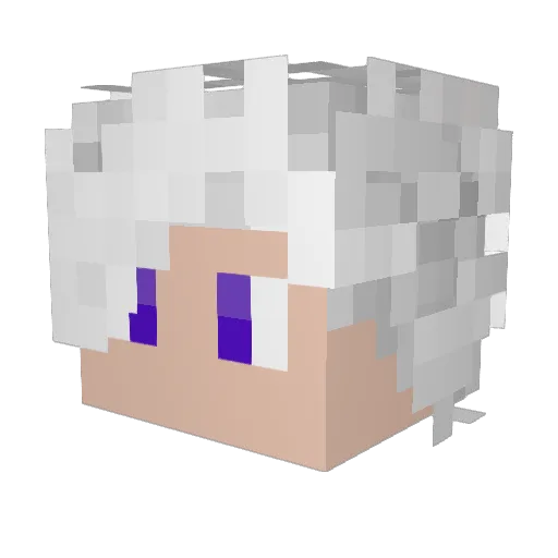 Nuikodem Minecraft avatar head, 3D render