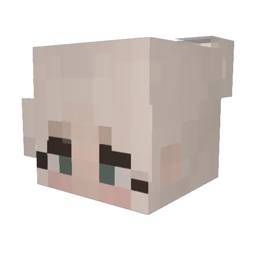 Nujulat Minecraft avatar head, 3D render
